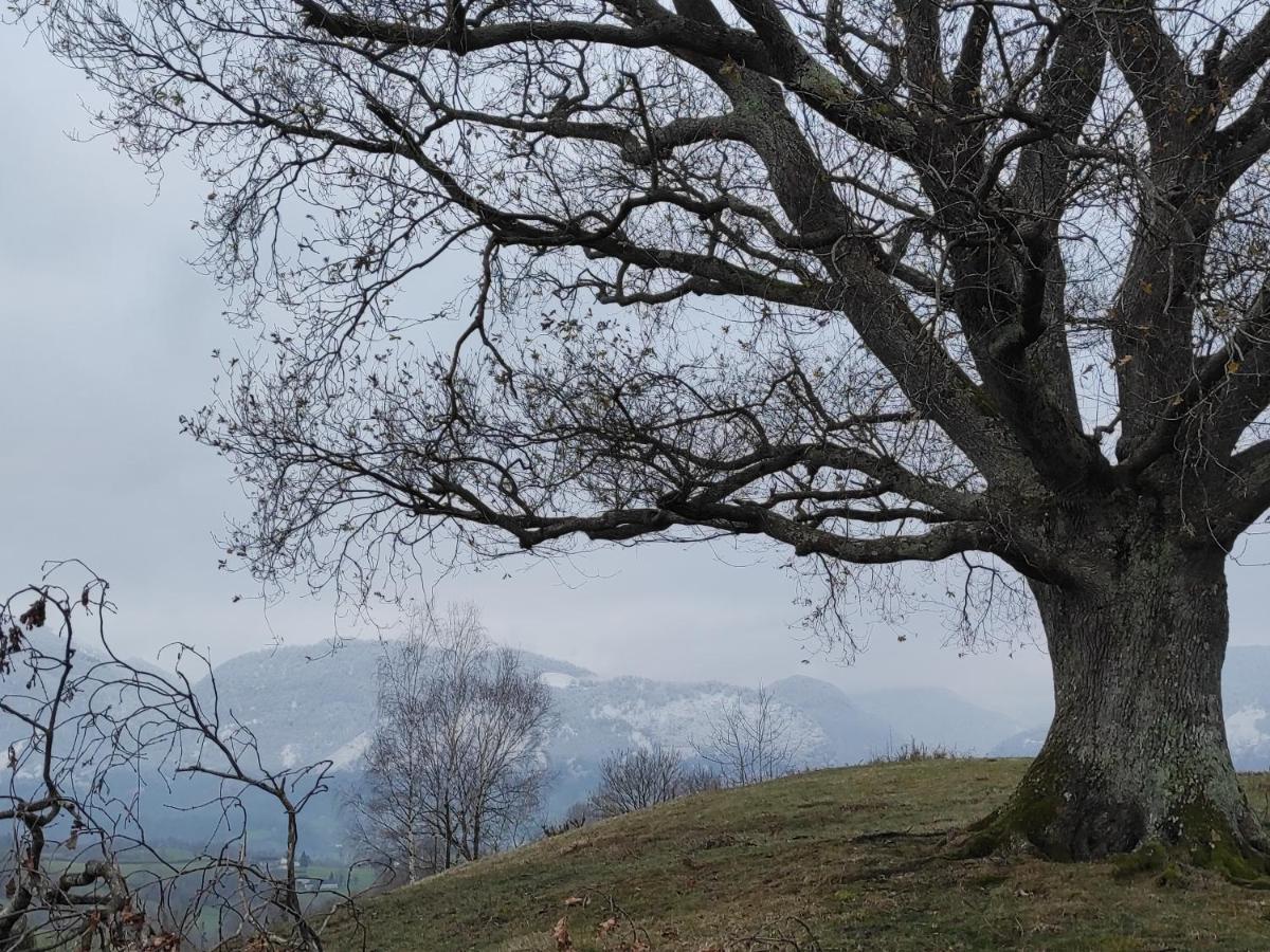 Gite Des 3 Arbres Aramits Bagian luar foto
